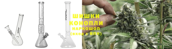 ГАЛЛЮЦИНОГЕННЫЕ ГРИБЫ Балабаново