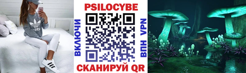 мега зеркало  Омск  Галлюциногенные грибы мицелий  как найти наркотики 